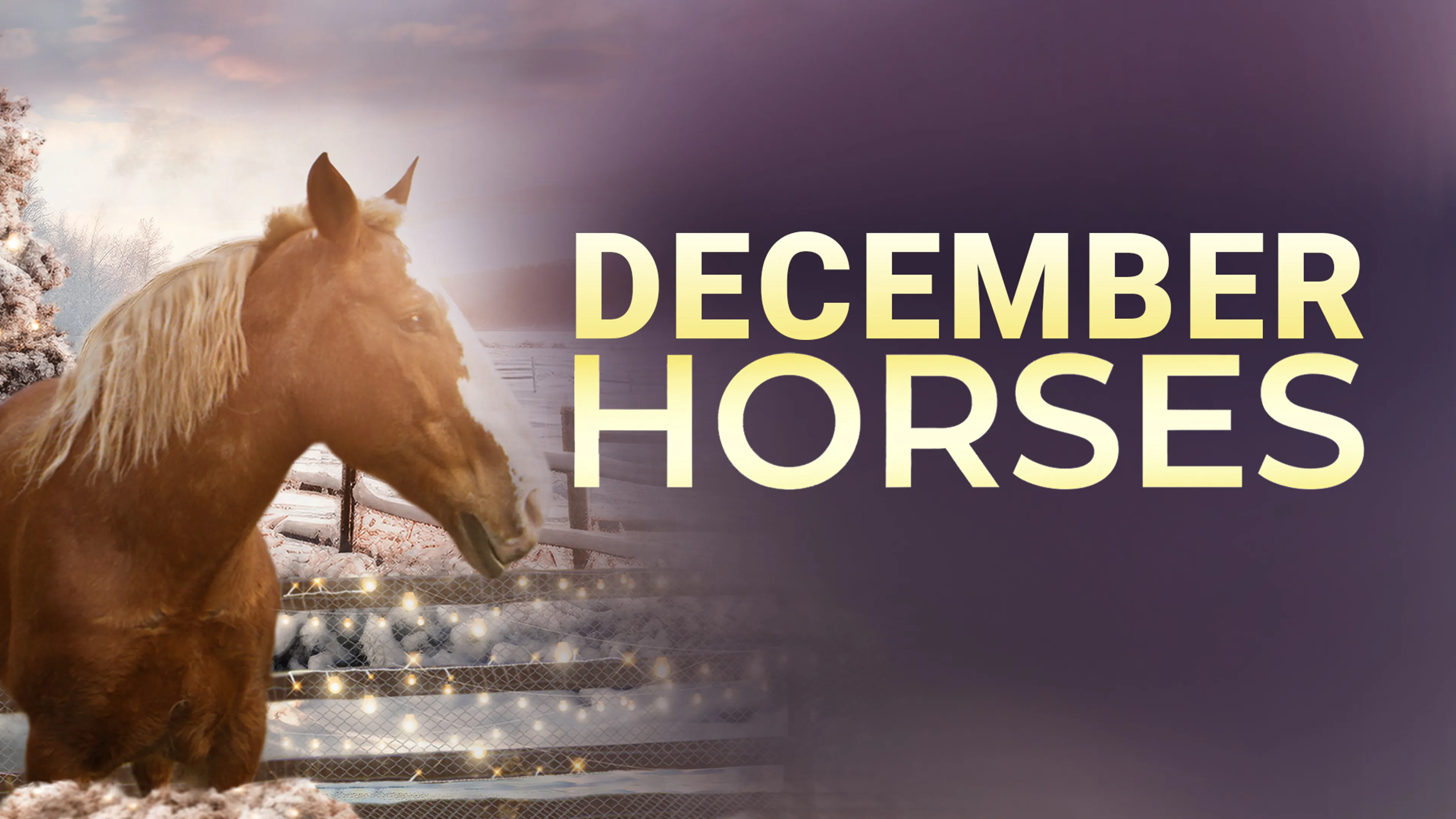 December Horses poster